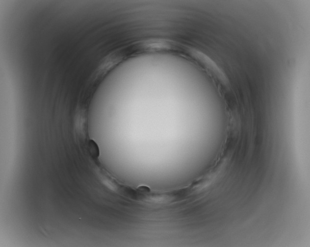 X0000114541225200910190925