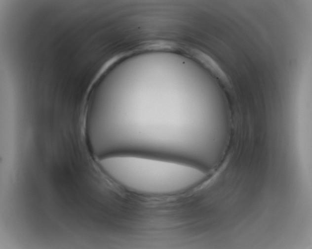 X0000114541228200910190925