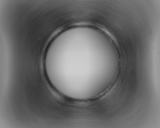 X0000114541229200910190925