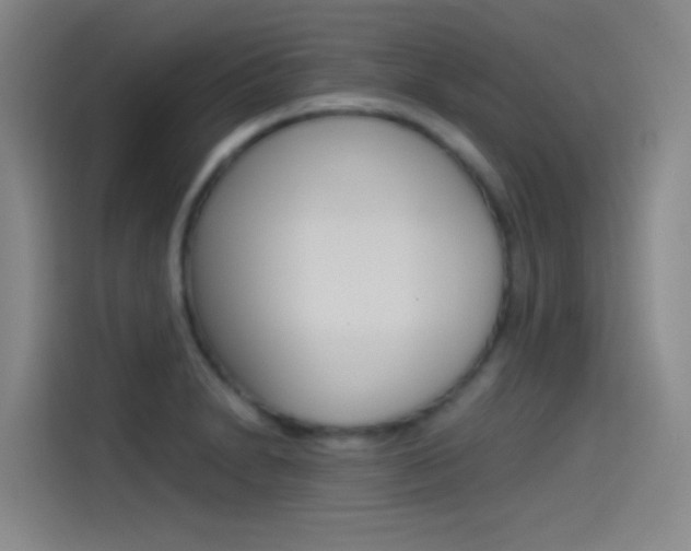 X0000114541230200910190925