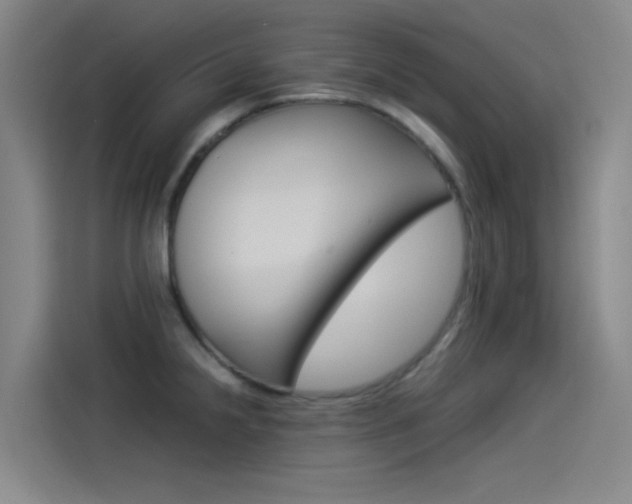 X0000114541238200910190925