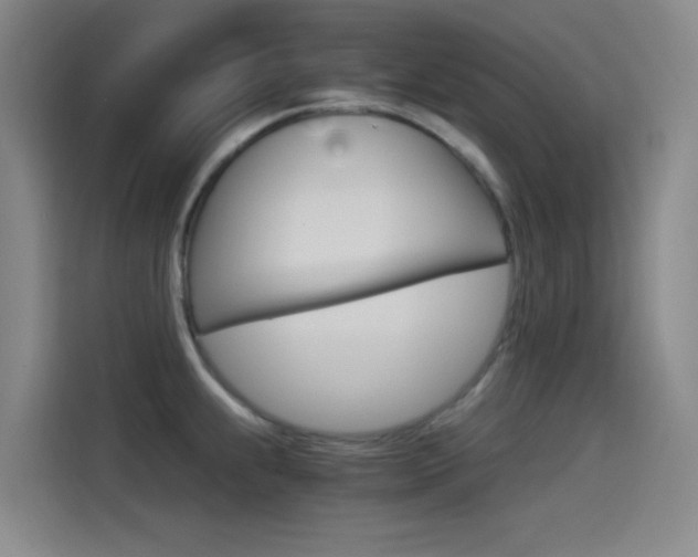 X0000114541239200910190925