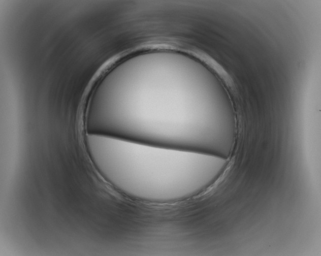 X0000114541240200910190925