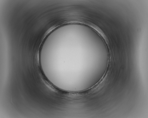 X0000114541242200910190925