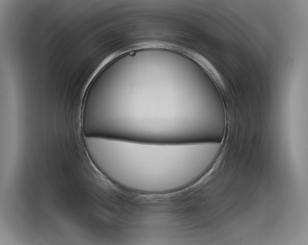 X0000114541244200910190925