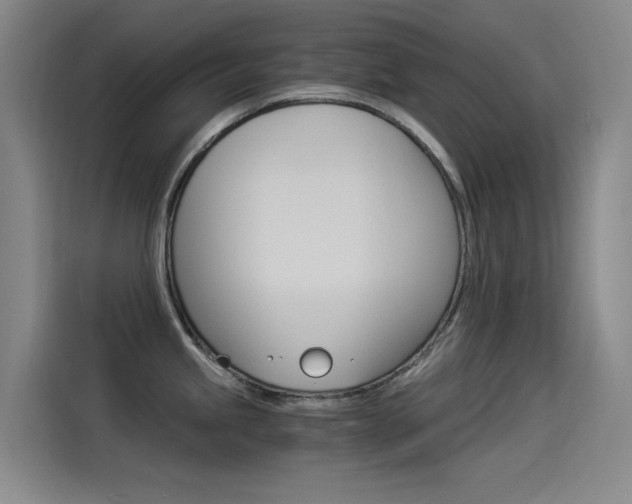 X0000114541245200910190925