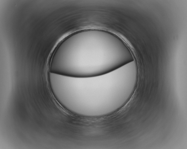 X0000114541246200910190925