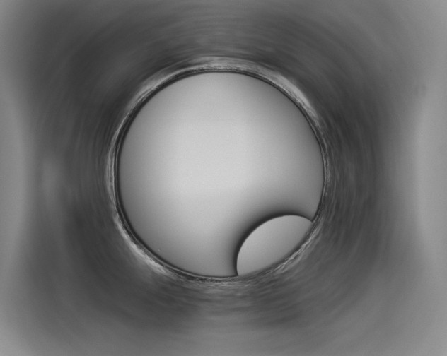 X0000114541247200910190925