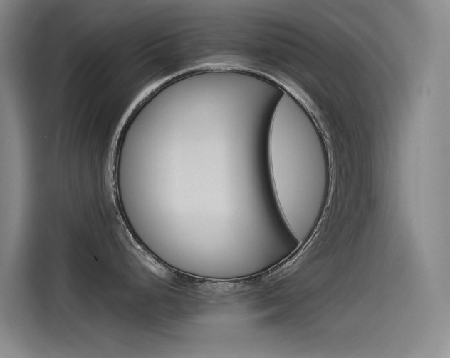 X0000114541248200910190925