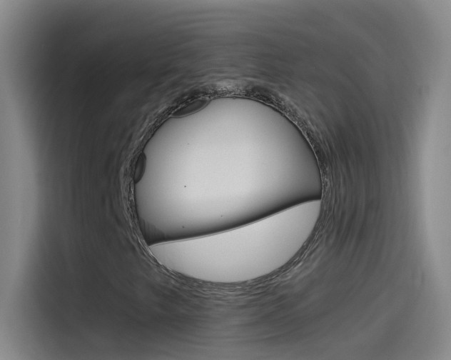 X0000114541249200910190924