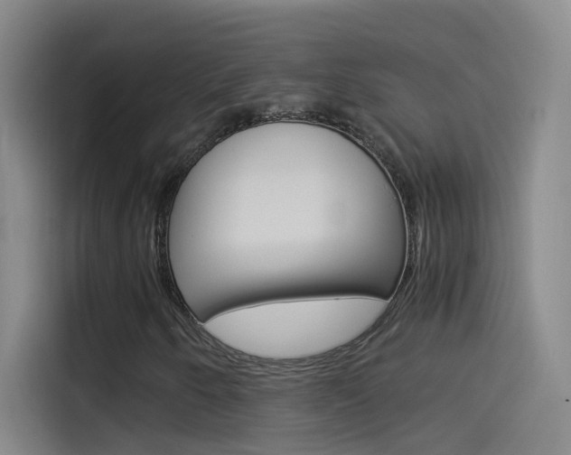X0000114541250200910190924