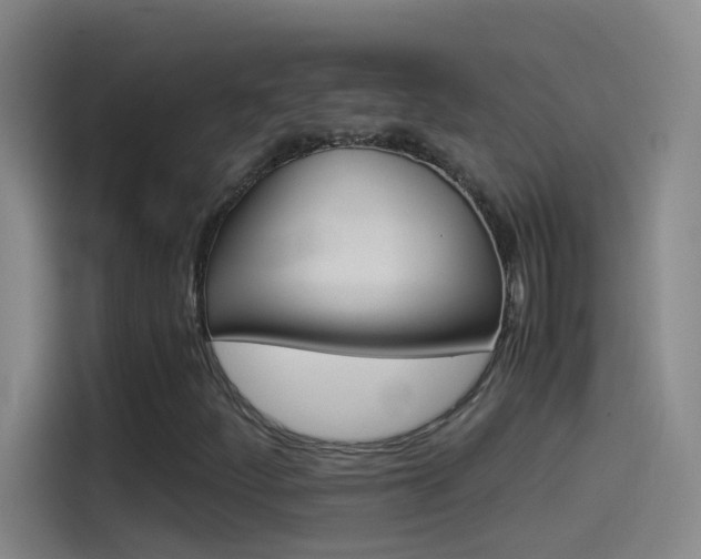 X0000114541252200910190924