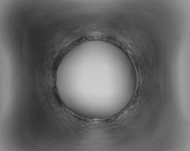 X0000114541253200910190924