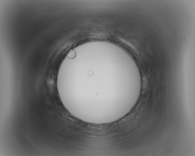X0000114541254200910190924