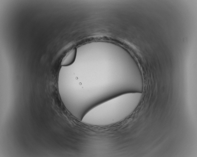 X0000114541255200910190924