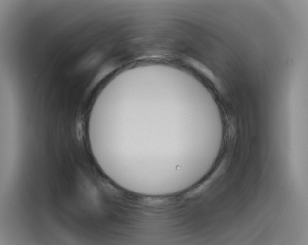 X0000114541258200910190924