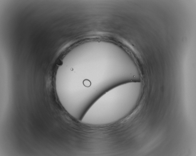 X0000114541259200910190924