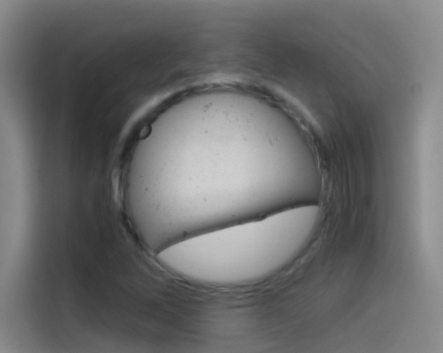 X0000114541262200910190924