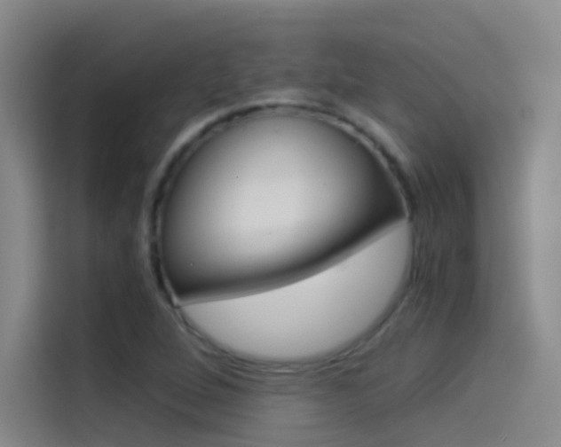 X0000114541264200910190924