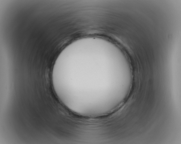 X0000114541265200910190924