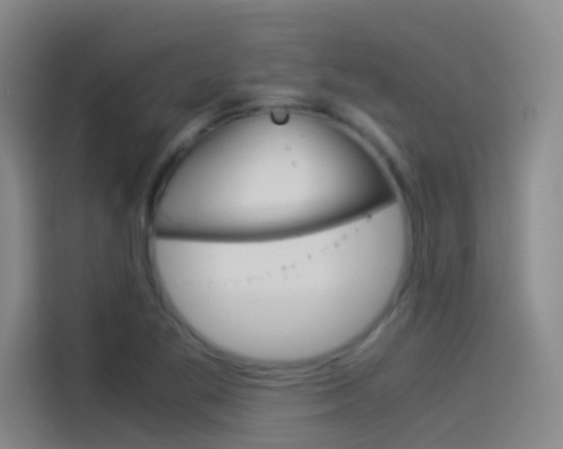 X0000114541269200910190924