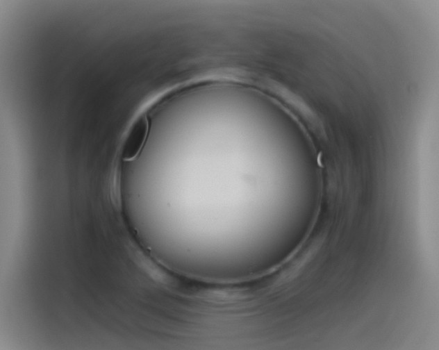 X0000114541272200910190924