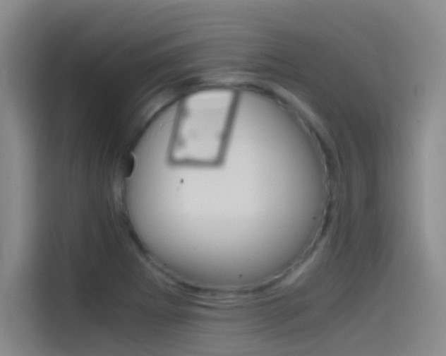 X0000114541273200910190924