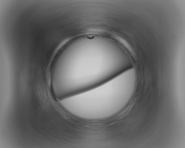 X0000114541275200910190924