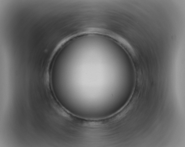 X0000114541280200910190924