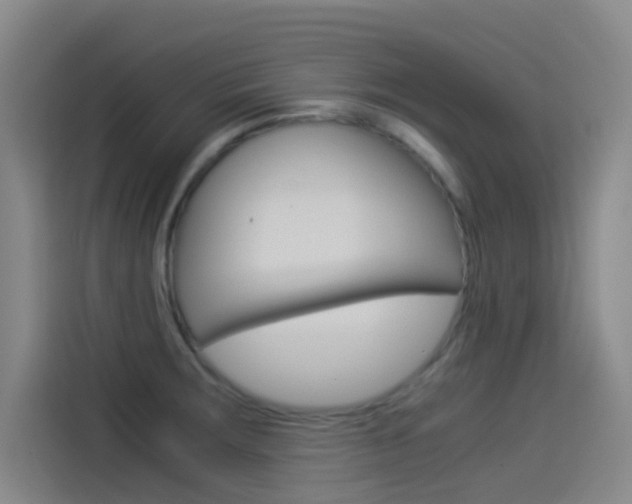 X0000114541283200910190924