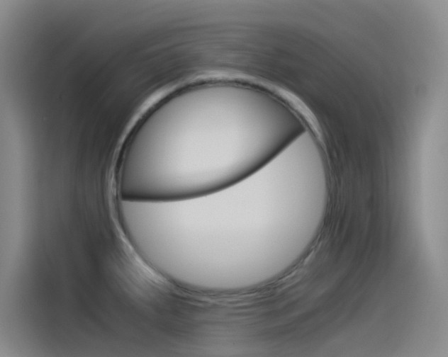 X0000114541287200910190924