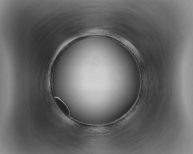 X0000114541288200910190924