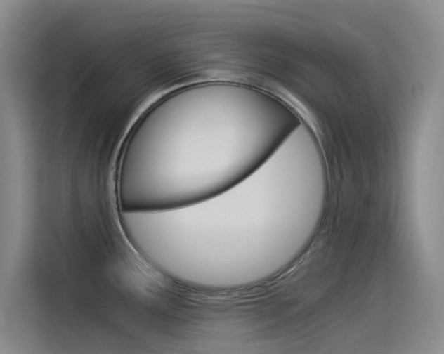 X0000114541291200910190924