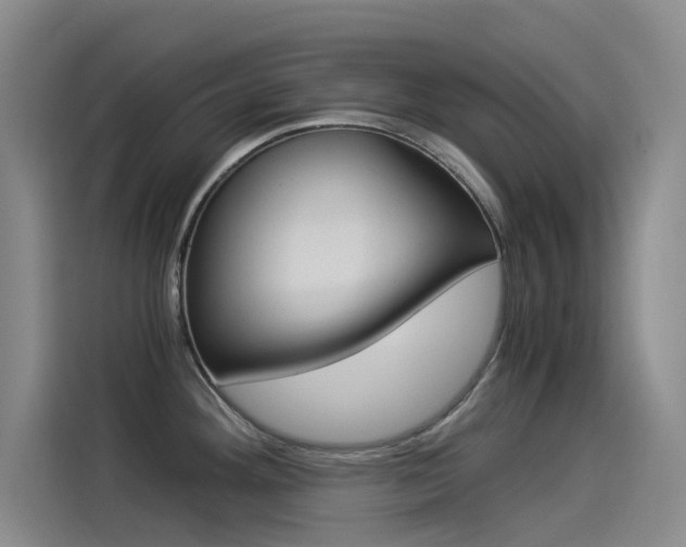 X0000114541292200910190924