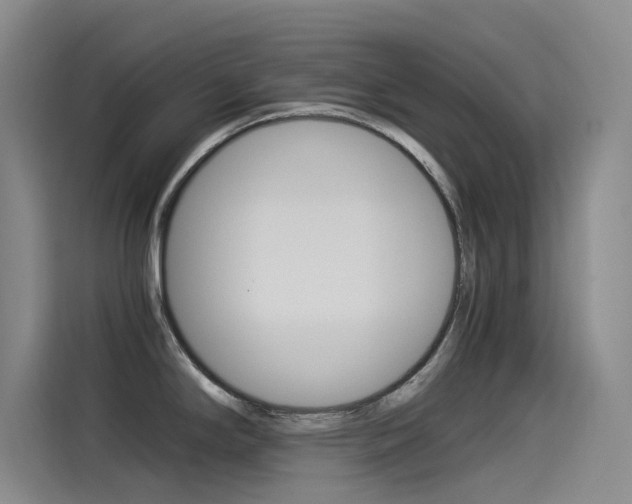 X0000114541294200910190924