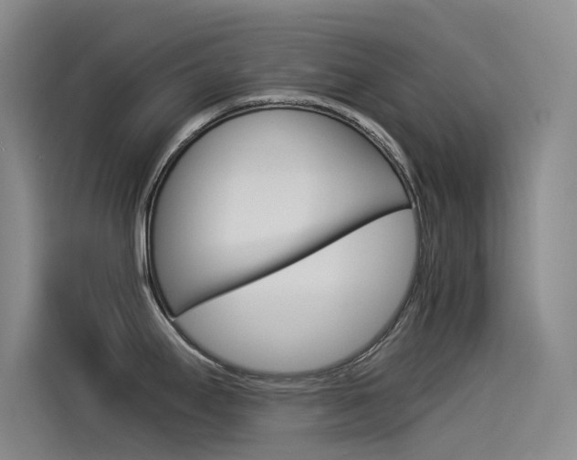 X0000114541295200910190924