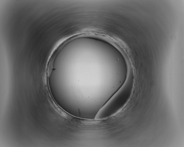 X0000114541296200910190924