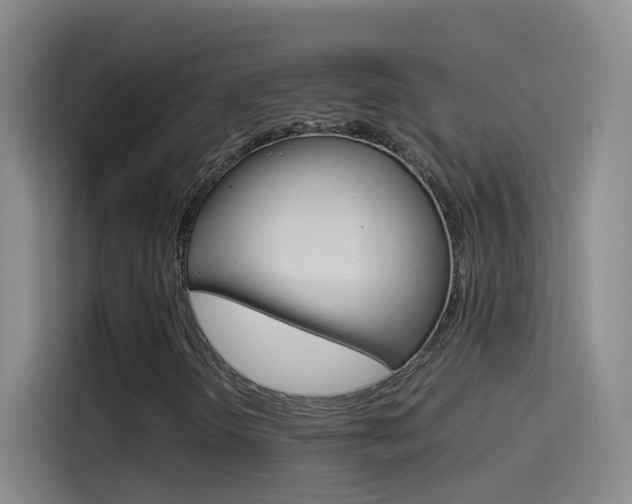 X0000114541298200910190923