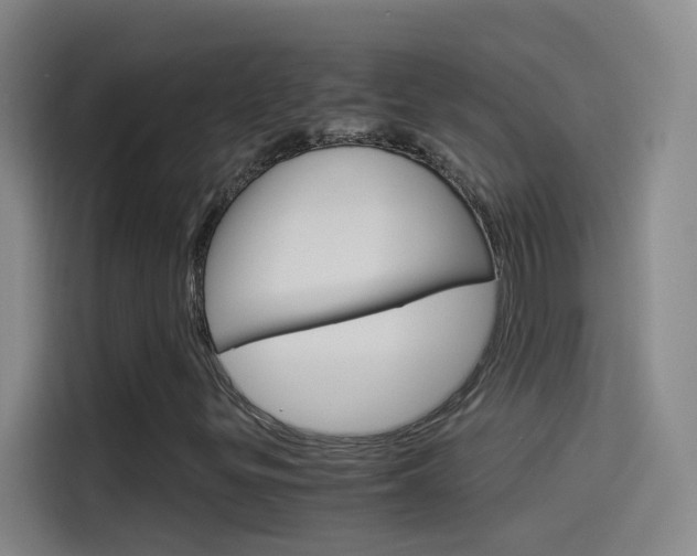 X0000114541299200910190923