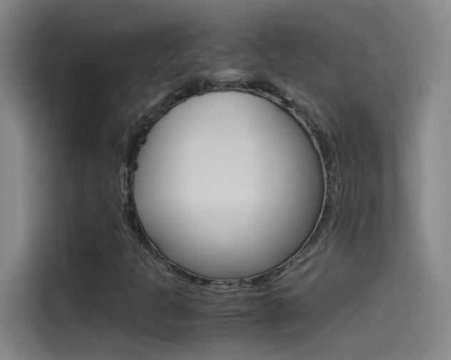 X0000114541301200910190923