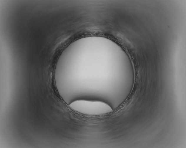 X0000114541302200910190923