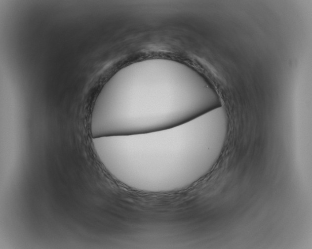 X0000114541303200910190923