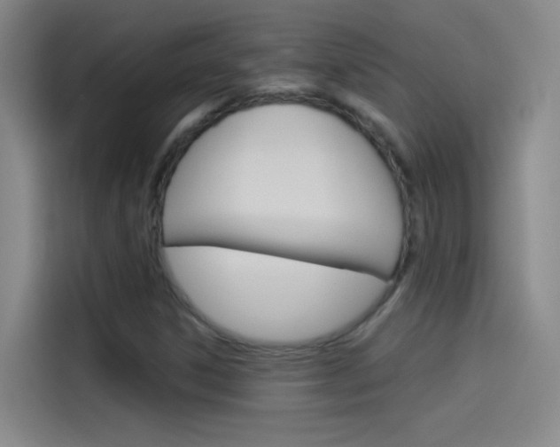 X0000114541306200910190923