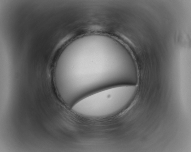 X0000114541309200910190923