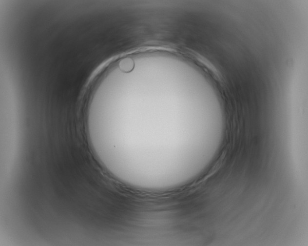 X0000114541310200910190923