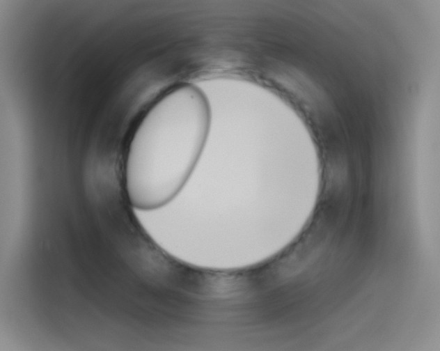 X0000114541314200910190923
