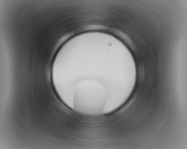 X0000114541322200910190923