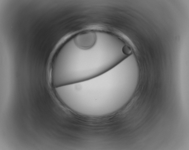 X0000114541323200910190923