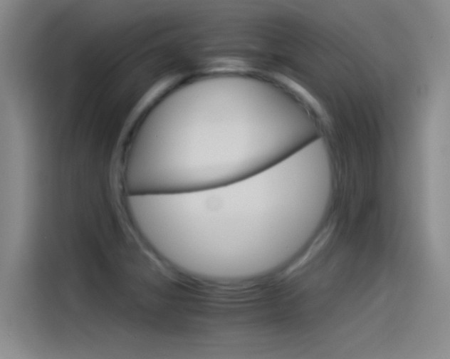 X0000114541325200910190923