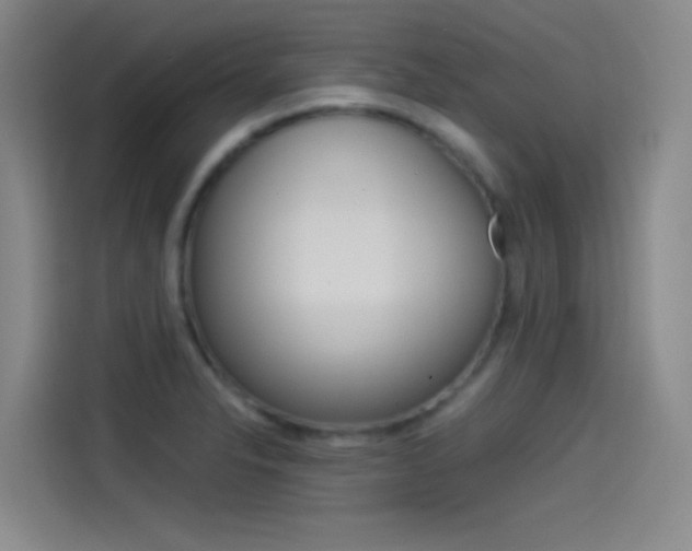 X0000114541326200910190923